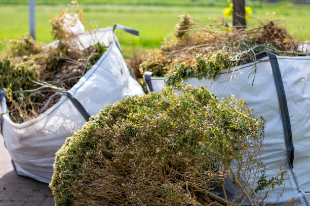 Best Same-Day Junk Removal  in Madison, NJ